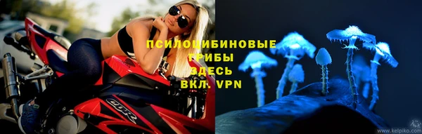 ГАЛЛЮЦИНОГЕННЫЕ ГРИБЫ Нефтекумск