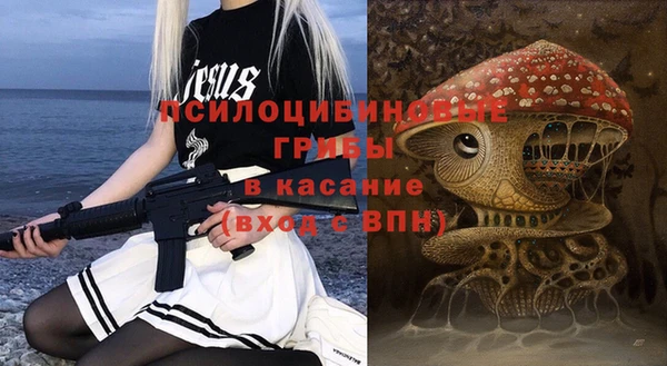 гидра Новозыбков