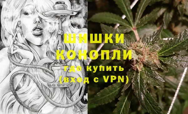 гидра Новозыбков